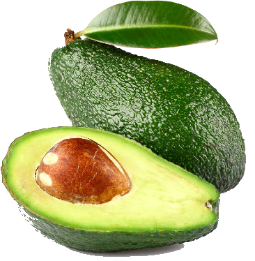 Aguacates de Jalisco
